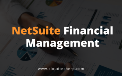 NetSuite Financial Management