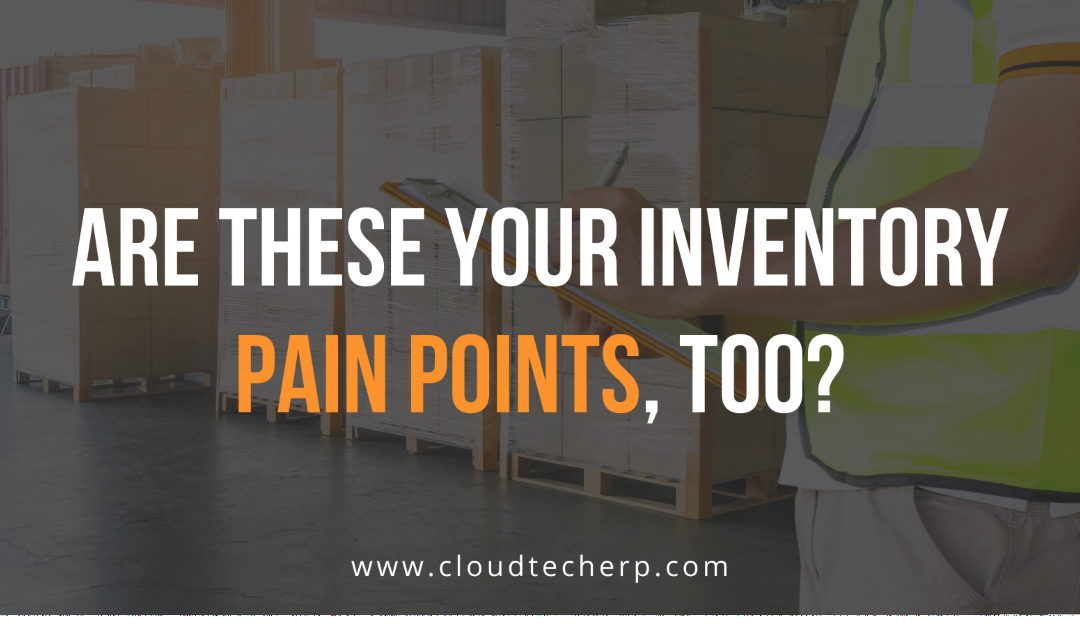 Are These Your Inventory Pain Points, Too?