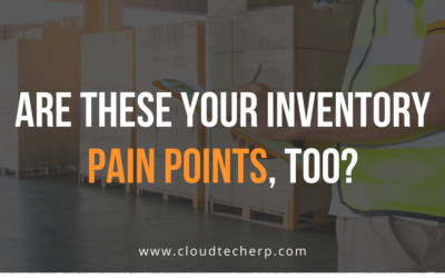 Are These Your Inventory Pain Points, Too?