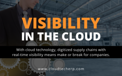 See it all, Know it all, Be it all: Visibility in The Cloud