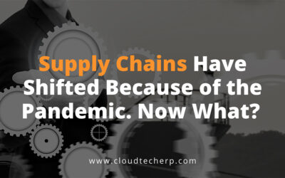 Supply Chains Have Shifted Because of the Pandemic. Now what?