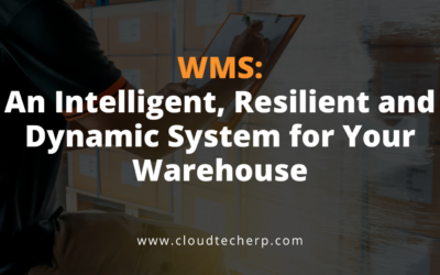 WMS: An Intelligent, Resilient and Dynamic System for Your Warehouse